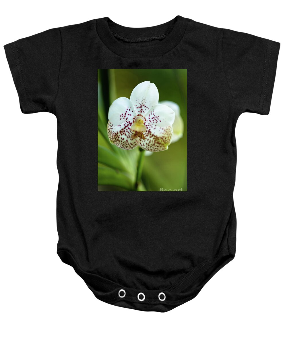 Background Baby Onesie featuring the photograph Spotted Orchid Flower #2 by Raul Rodriguez