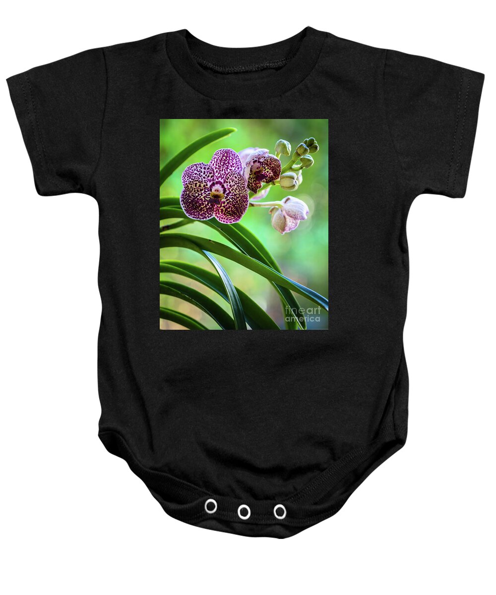 Ascda Kulwadee Fragrance Baby Onesie featuring the photograph Spotted Vanda Orchid Flowers #3 by Raul Rodriguez