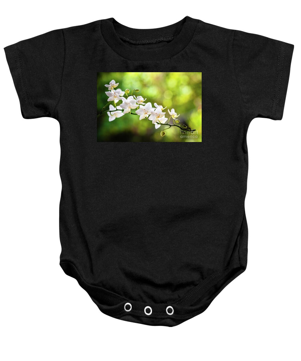 Background Baby Onesie featuring the photograph White Orchid Flowers #3 by Raul Rodriguez