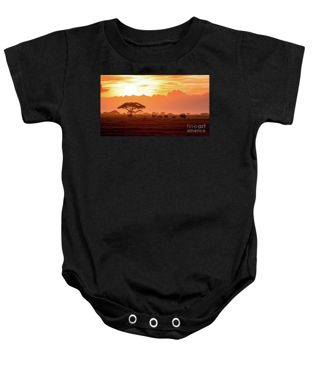 Sunset Baby Onesie featuring the photograph A herd of African elephants walking in Amboseli at sunset by Jane Rix