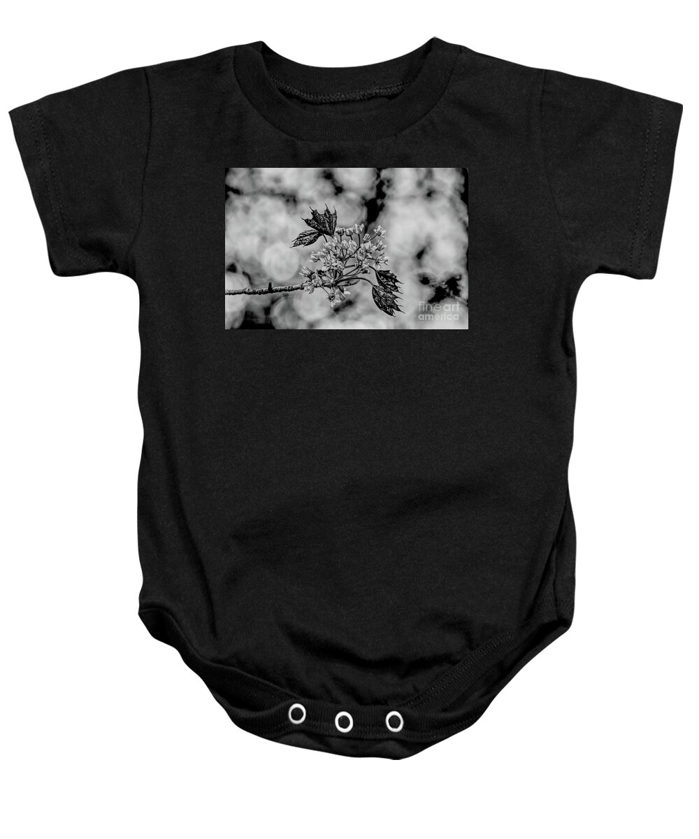 Digital Art Baby Onesie featuring the photograph A monochrome Red Maple bloom by Pics By Tony