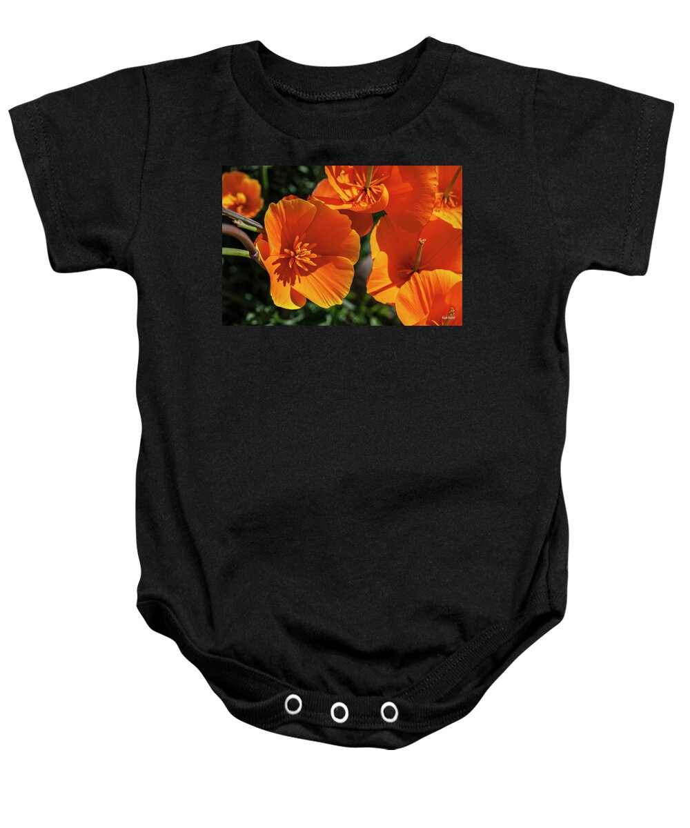 Poppy Baby Onesie featuring the photograph A Touch of Orange by Ryan Huebel