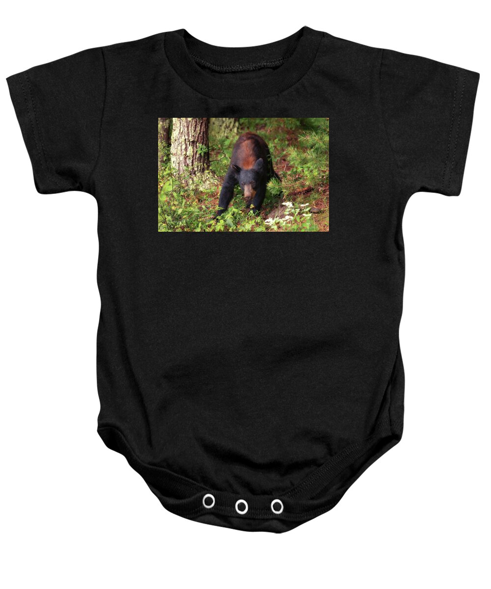 Black Bear Baby Onesie featuring the photograph Adult Black Bear in the Woods - Cades Cove by Susan Rissi Tregoning