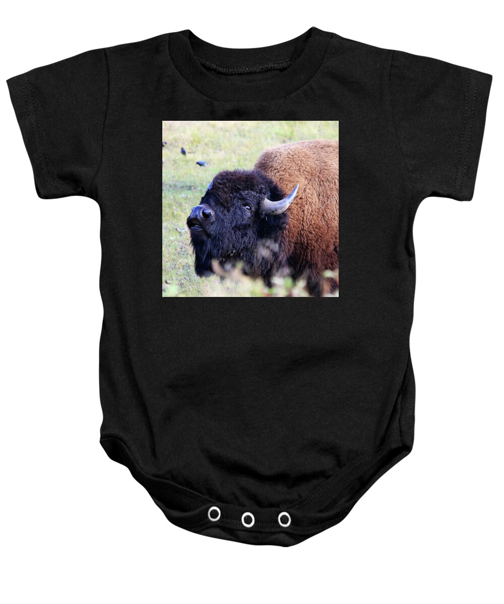 American Bison Baby Onesie featuring the photograph American Bison by Shixing Wen