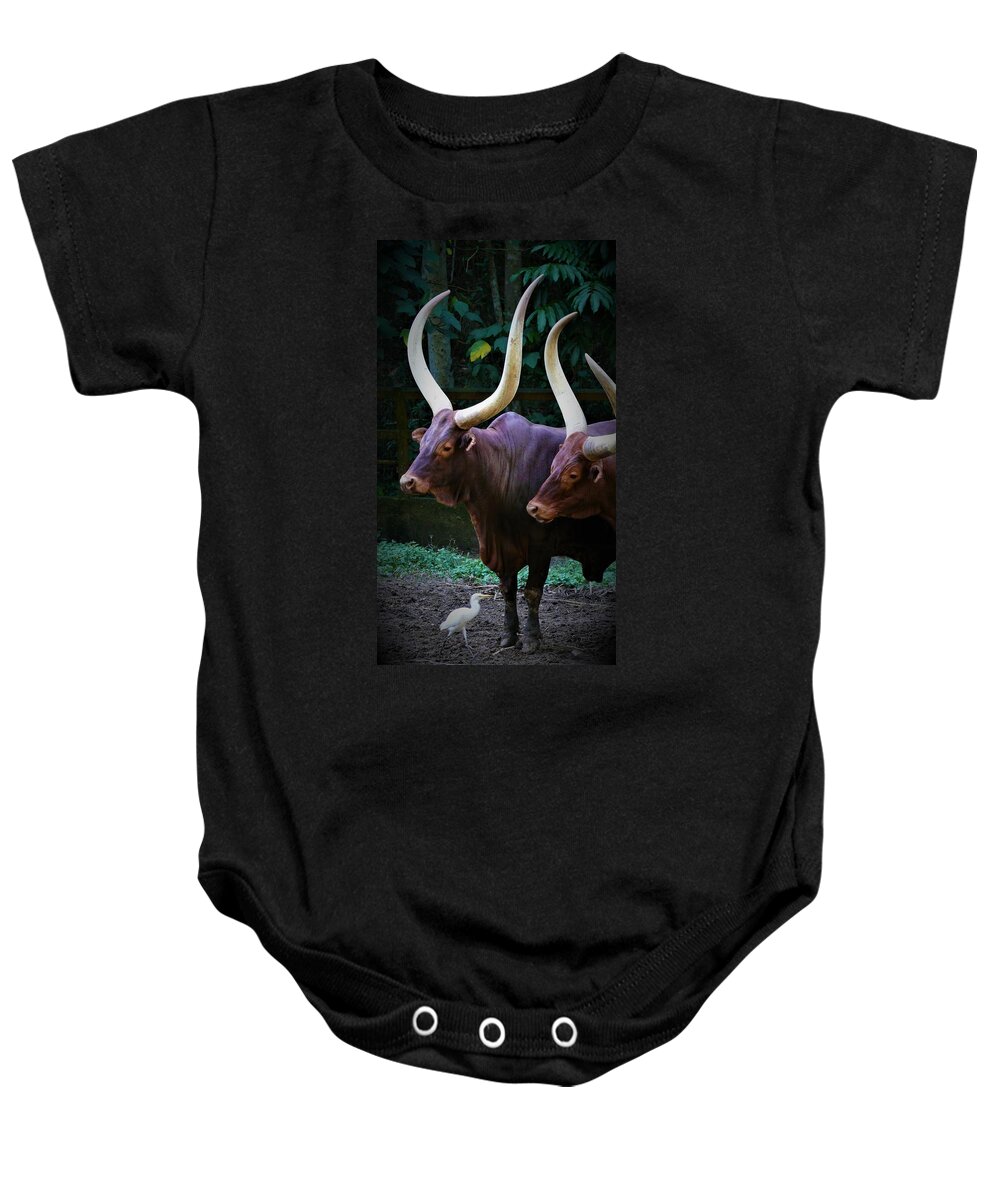Ankole Cattle Baby Onesie featuring the photograph Ankole Cattle by Robert Bociaga