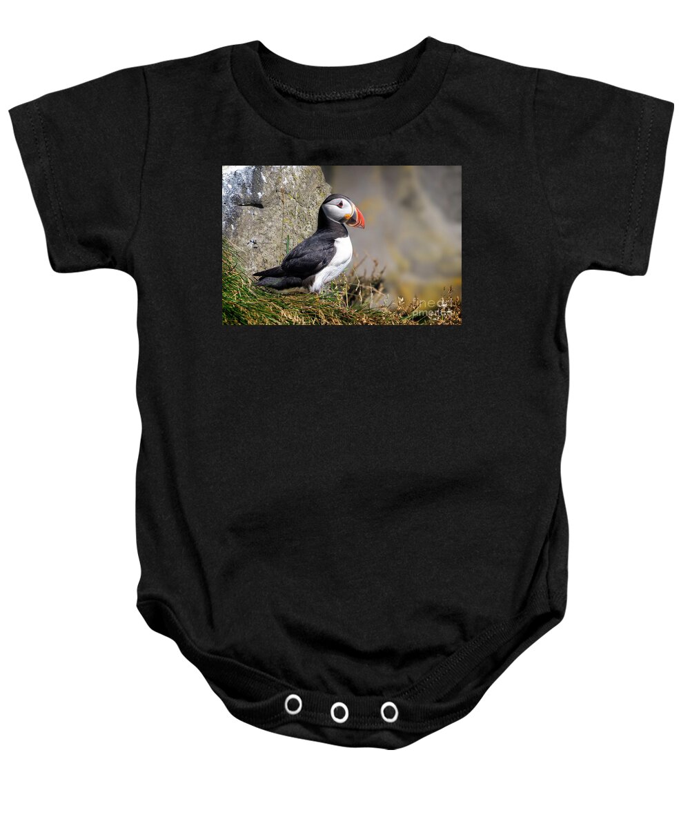 Puffin Baby Onesie featuring the photograph Atlantic Puffin by Delphimages Photo Creations