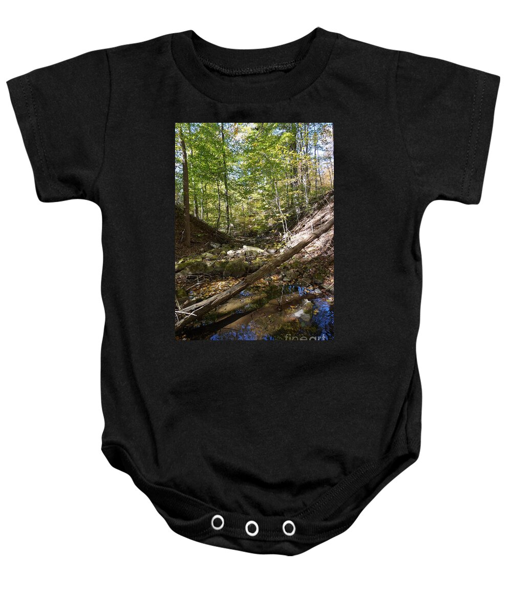Wall Art Baby Onesie featuring the photograph Bark Rocks 4 by Chris Naggy