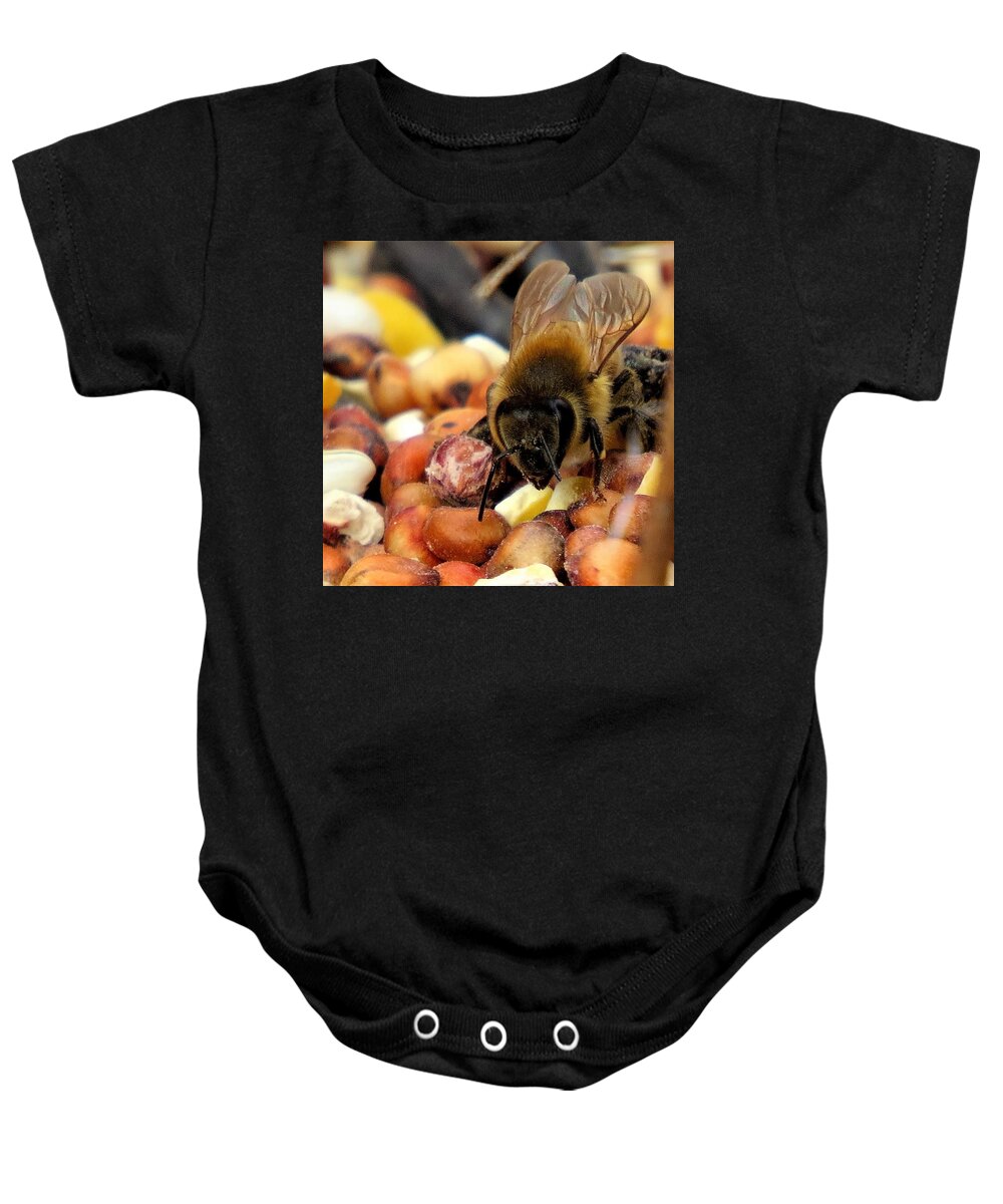 Insects Baby Onesie featuring the photograph Bee on Bird Seed by Linda Stern