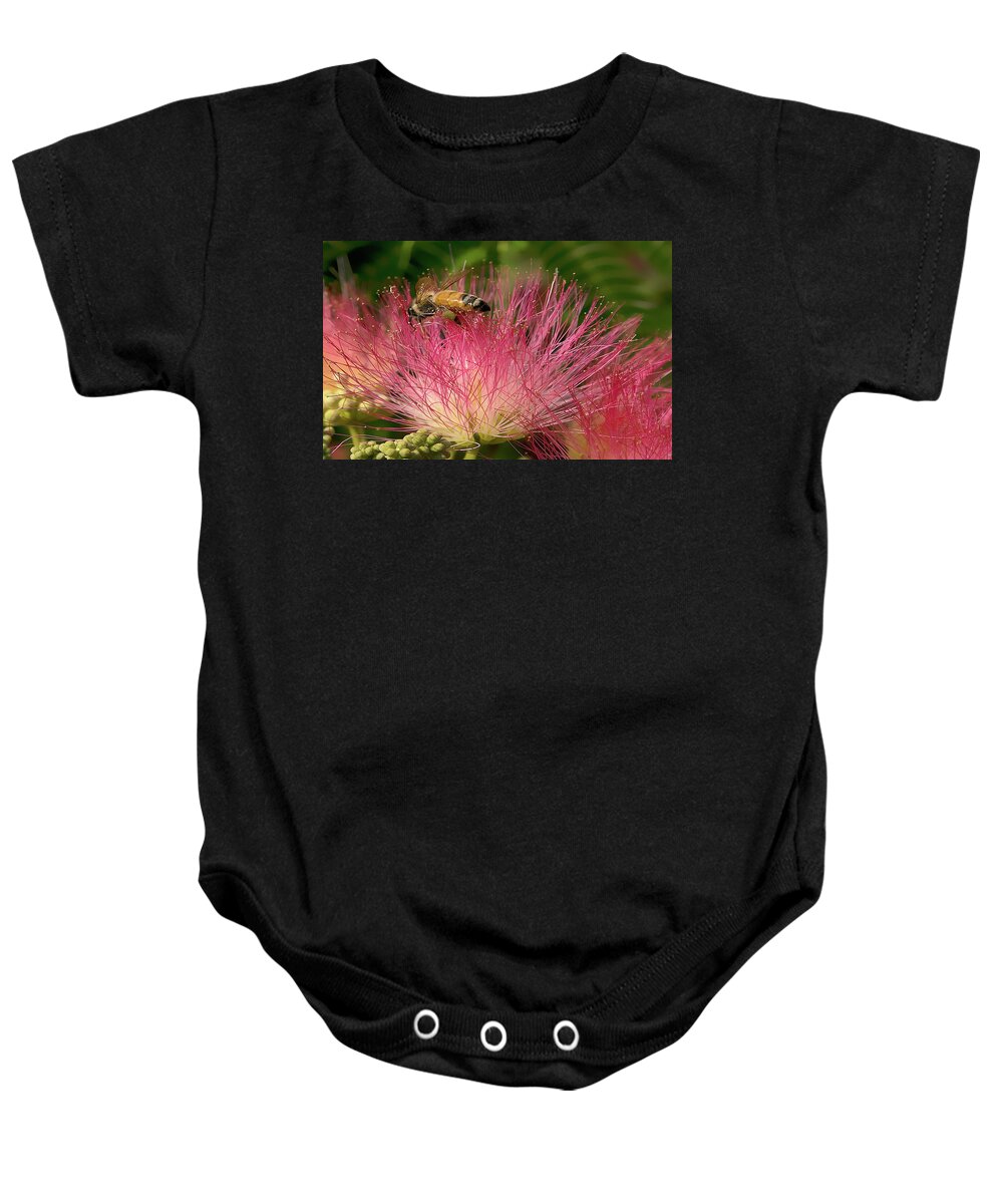 Photograph Baby Onesie featuring the photograph Bee on Mimosa Flower by Beverly Read