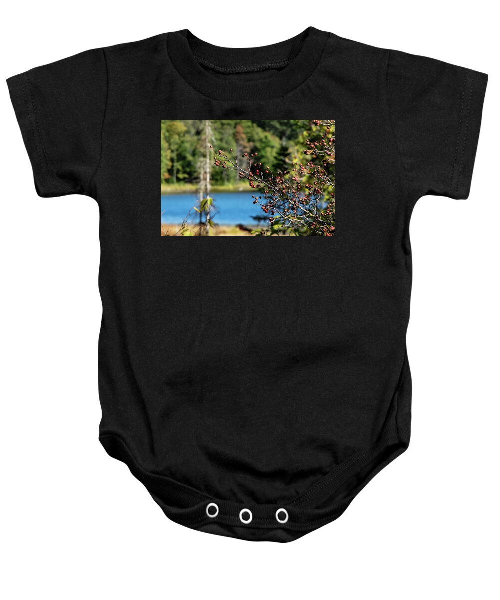 No People Baby Onesie featuring the photograph Berries overhang ing lake by Nathan Wasylewski