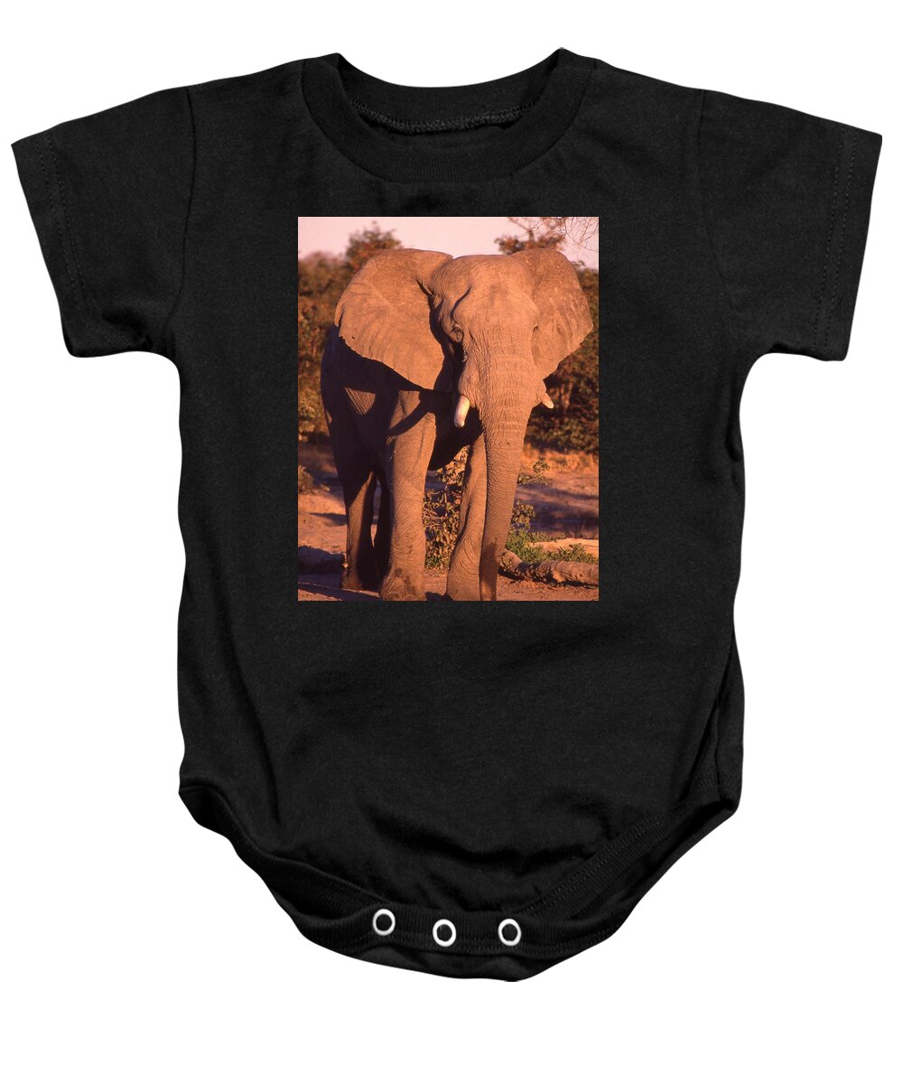 Africa Baby Onesie featuring the photograph Big Elephant Walking Toward You by Russel Considine