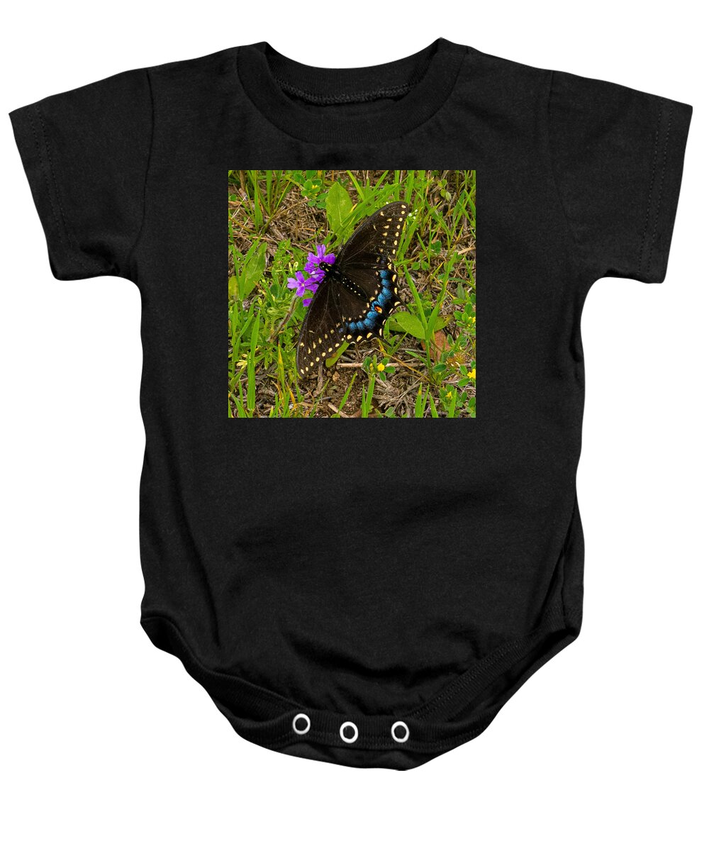 Butterfly Baby Onesie featuring the photograph Big Swallow Little Flower by Ivars Vilums