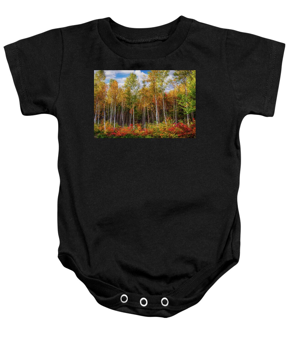 Maine Birch Trees Baby Onesie featuring the photograph Birch trees turn to gold by Jeff Folger