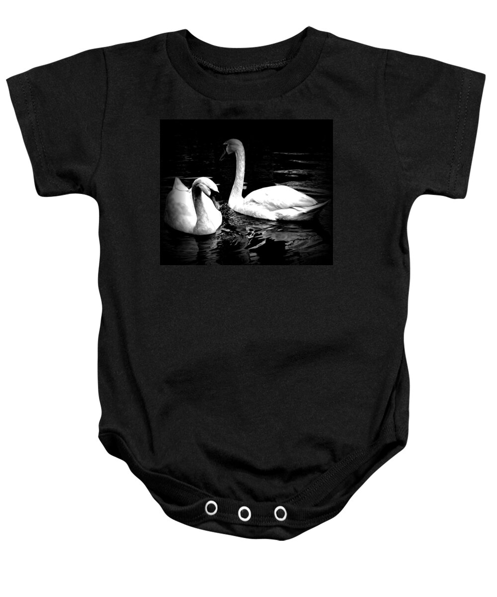 Swans Baby Onesie featuring the photograph Birds of a Feather Together by Elf EVANS