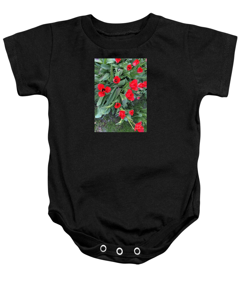 Tulips Baby Onesie featuring the photograph Blossoming by Barbara Plattenburg