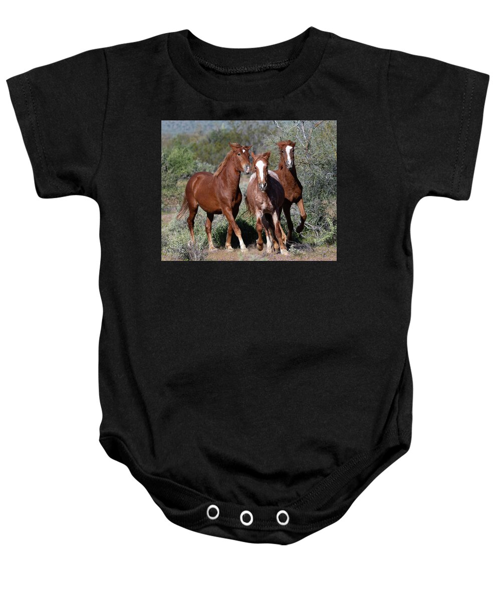 Wild Horses Baby Onesie featuring the photograph Boy band by Mary Hone
