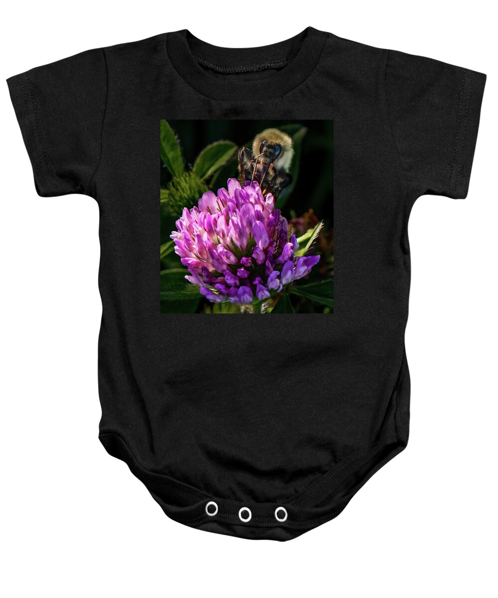 Bee Baby Onesie featuring the photograph Bumblebee on clover by Brian Shoemaker