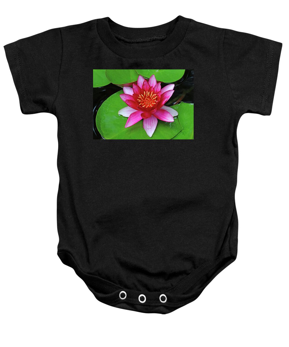 Lilies Baby Onesie featuring the photograph Burgundy Red Princess by Debbie Oppermann
