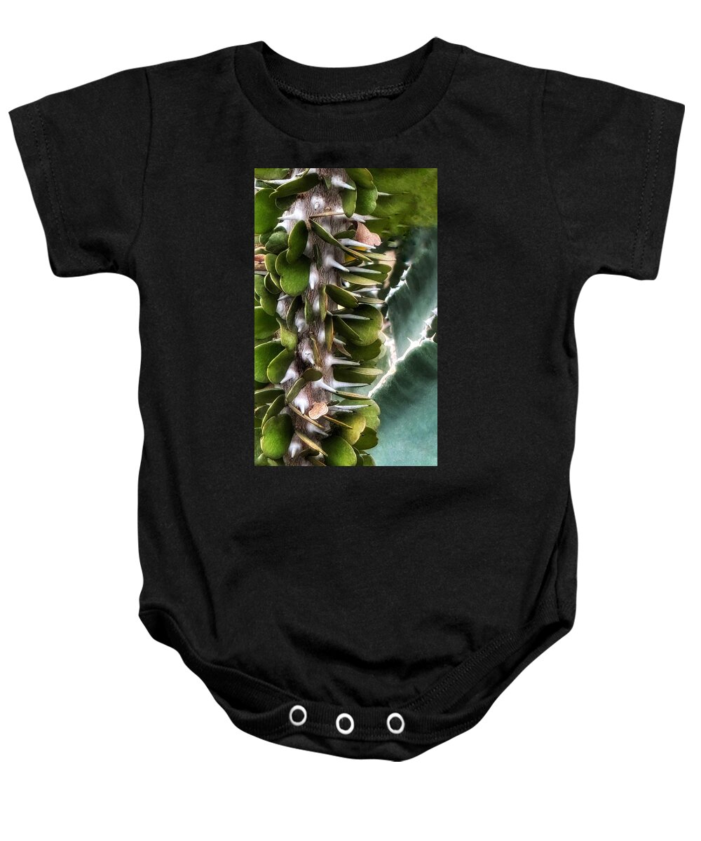 Cactus Baby Onesie featuring the photograph Cactus by JoAnn Lense