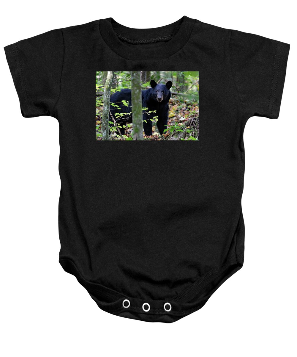 Tennessee Baby Onesie featuring the photograph CHECKING ME OUT - crop by Jennifer Robin