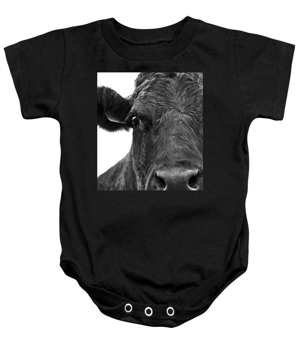 Cow Baby Onesie featuring the photograph Cow by Alexandra's Photography