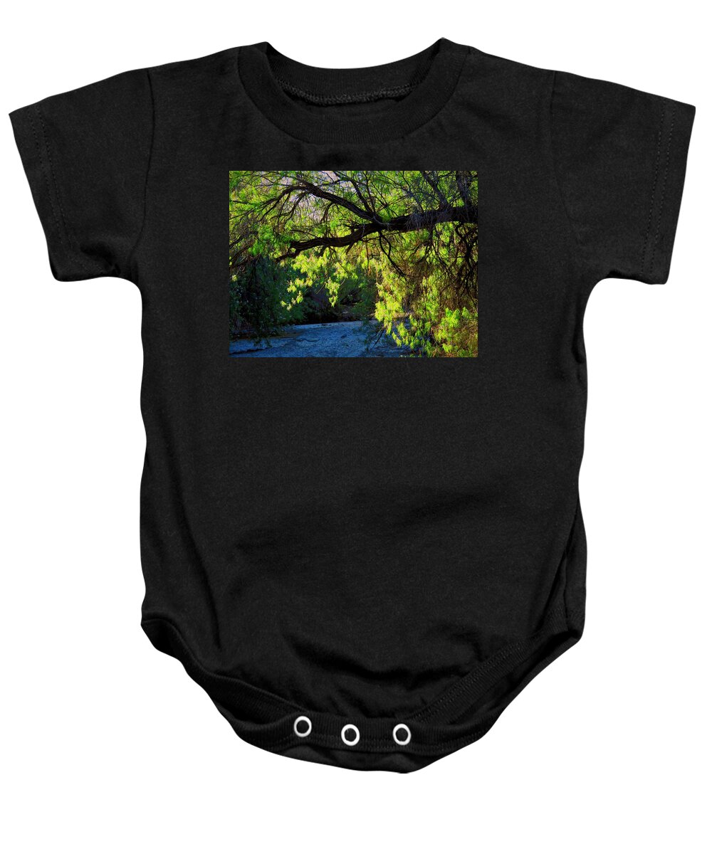 Desert Plants Baby Onesie featuring the photograph Deep in the Vekol by Judy Kennedy