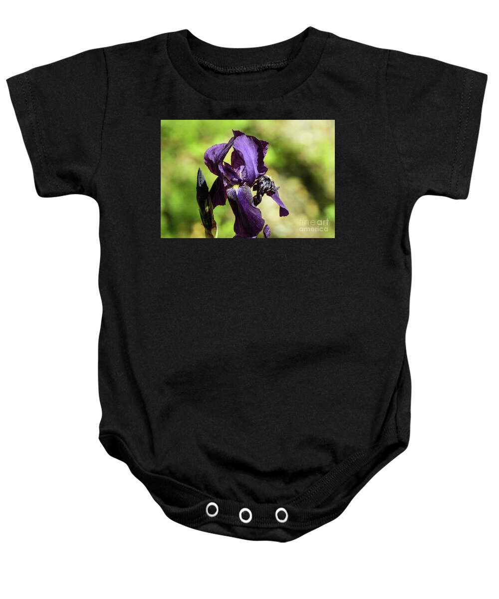 Arizona Baby Onesie featuring the photograph Deep Purple by Kathy McClure
