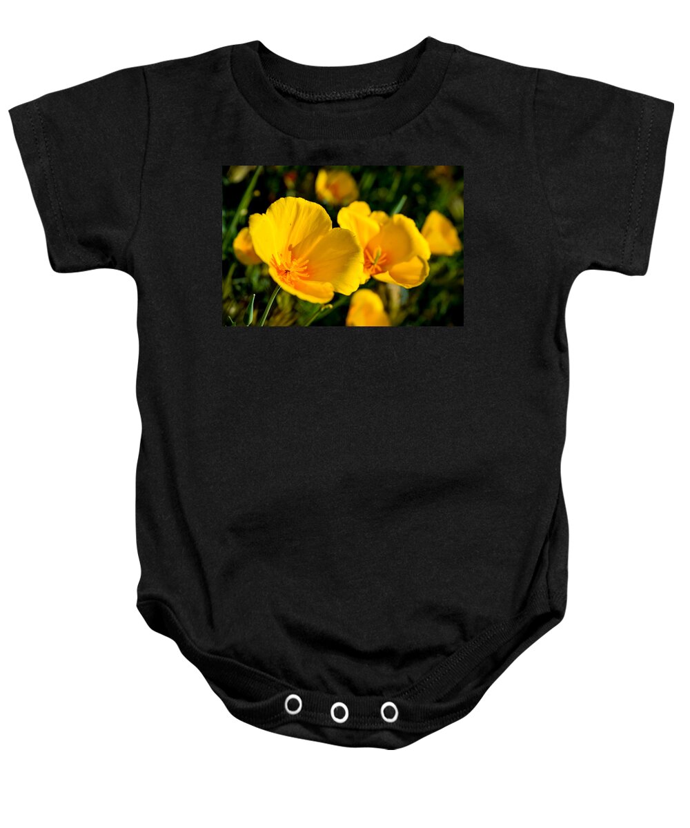 Wildflowers Baby Onesie featuring the photograph Desert Poppies in Bloom by Bonny Puckett
