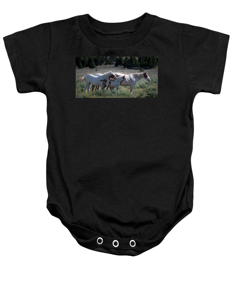 Wild Horses Baby Onesie featuring the photograph Family Love by Mary Hone