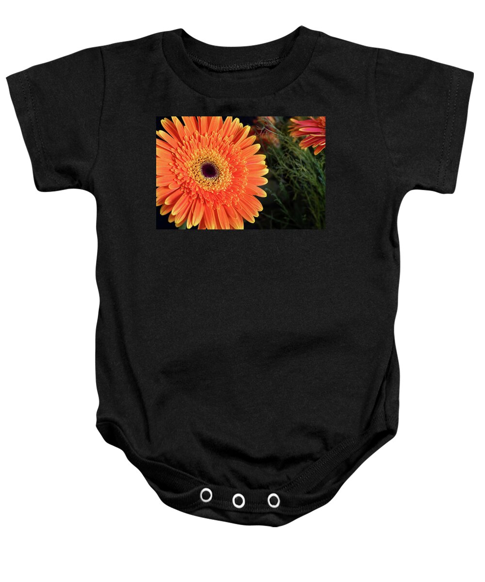 Gerbera Jamesonii Baby Onesie featuring the photograph Fresh blooming Daisy flower  by Michalakis Ppalis