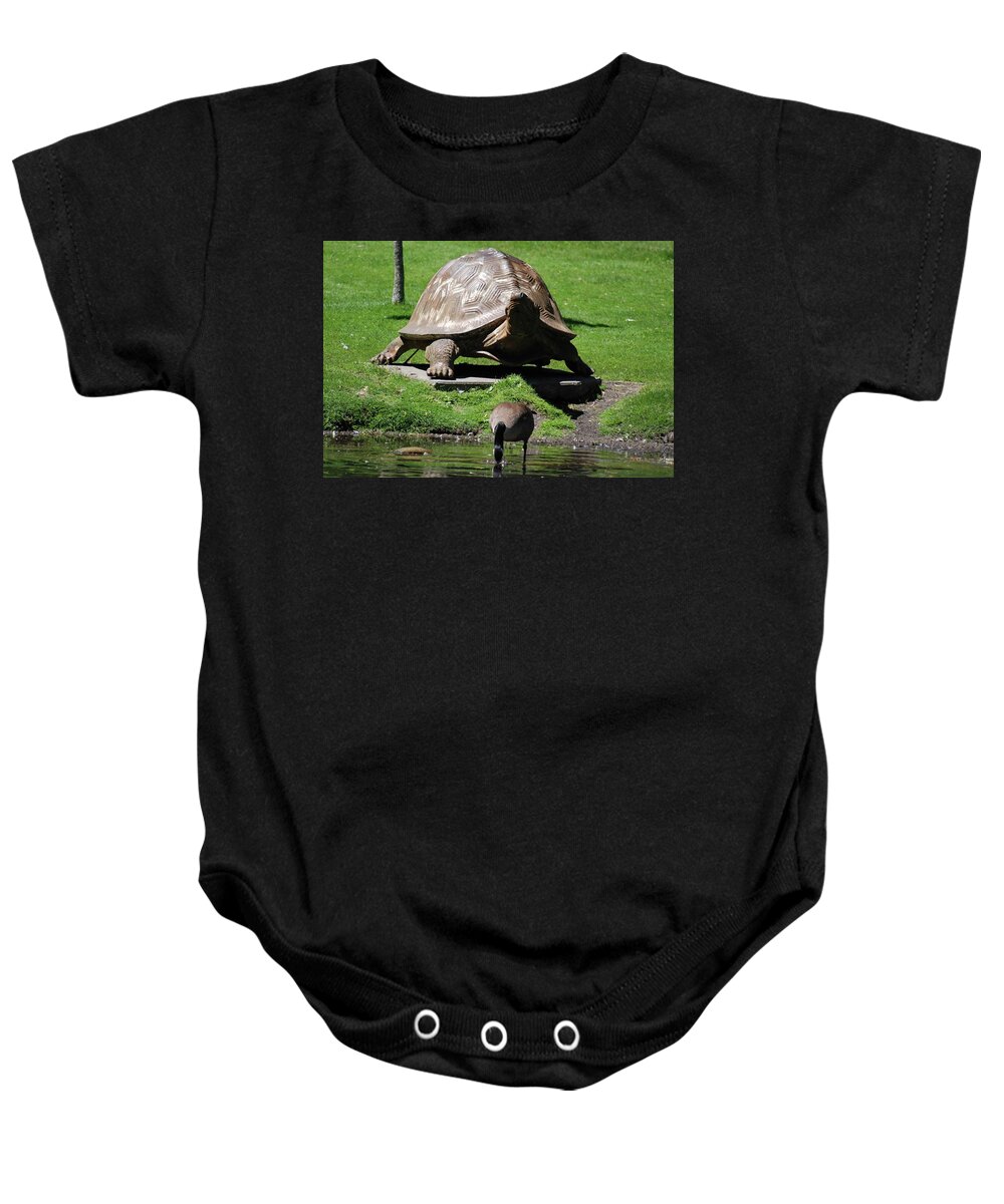 Canadian Geese Baby Onesie featuring the photograph Giant Tortoise And Geese by Ee Photography