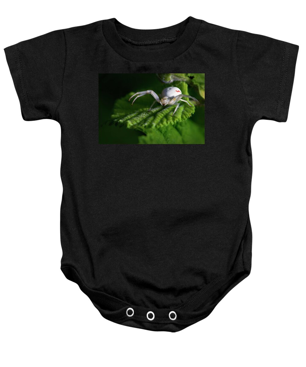 Spider Baby Onesie featuring the photograph Goldenrod crab spider by Olivier Parent
