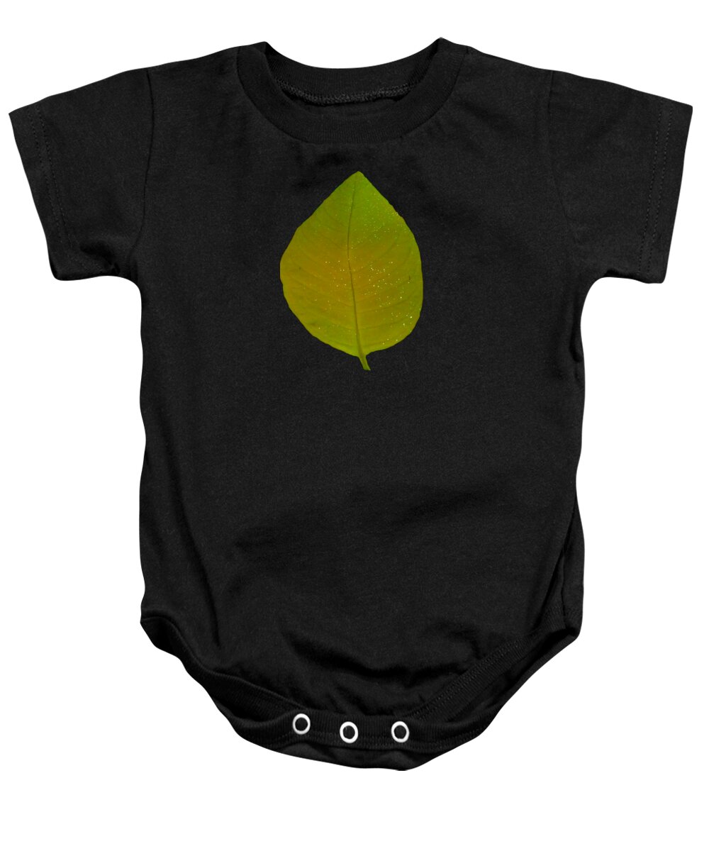 Green Baby Onesie featuring the photograph Green Autumn Leaf Wall Art Home Decor by Delynn Addams
