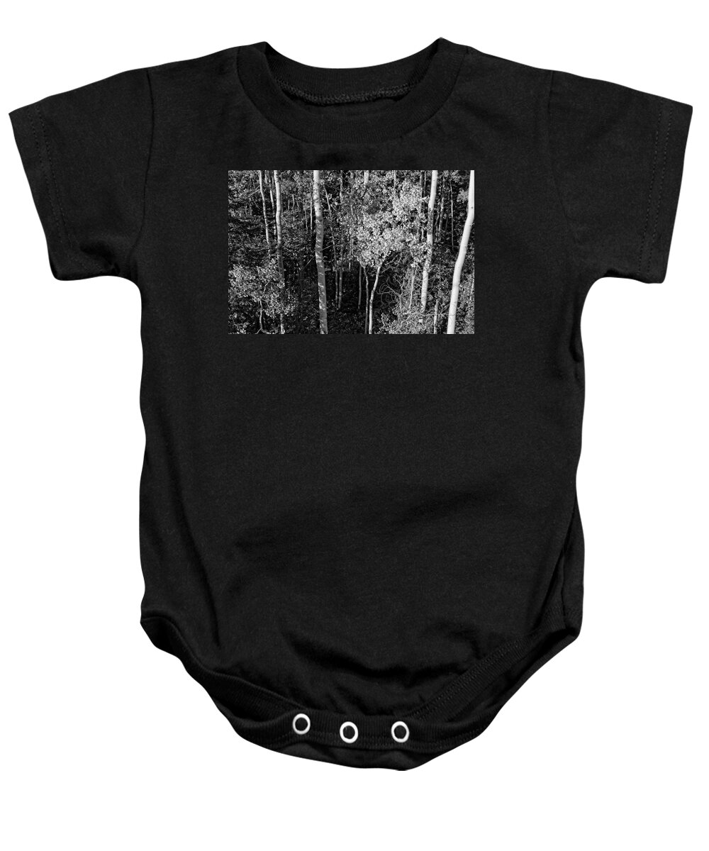 Aspen Baby Onesie featuring the photograph Sound Of The Quaking Aspen of Colorado in Black and White by Lucinda Walter
