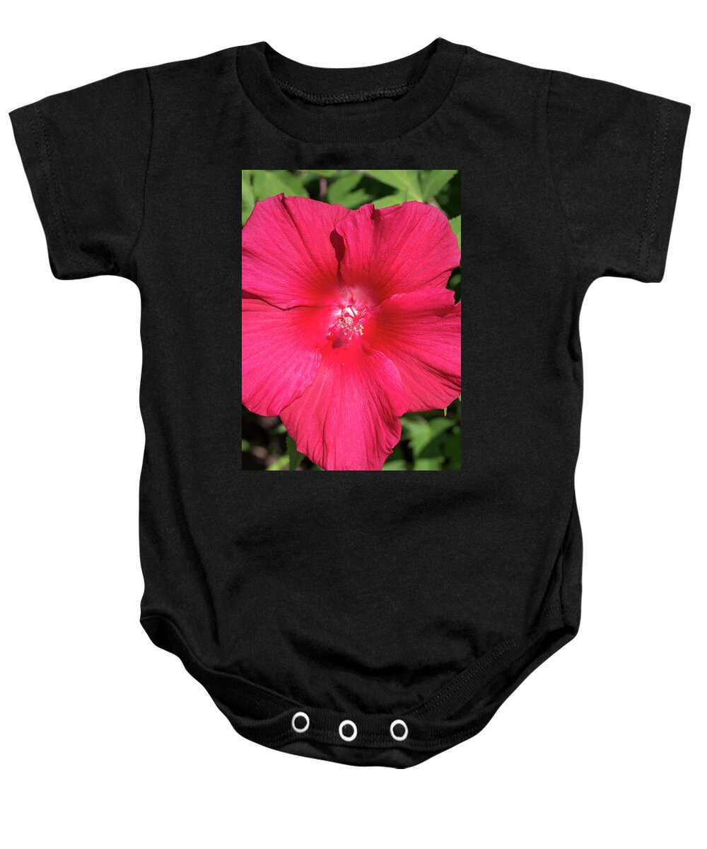 Flower Baby Onesie featuring the photograph Hibiscus Lord Baltimore by Dawn Cavalieri