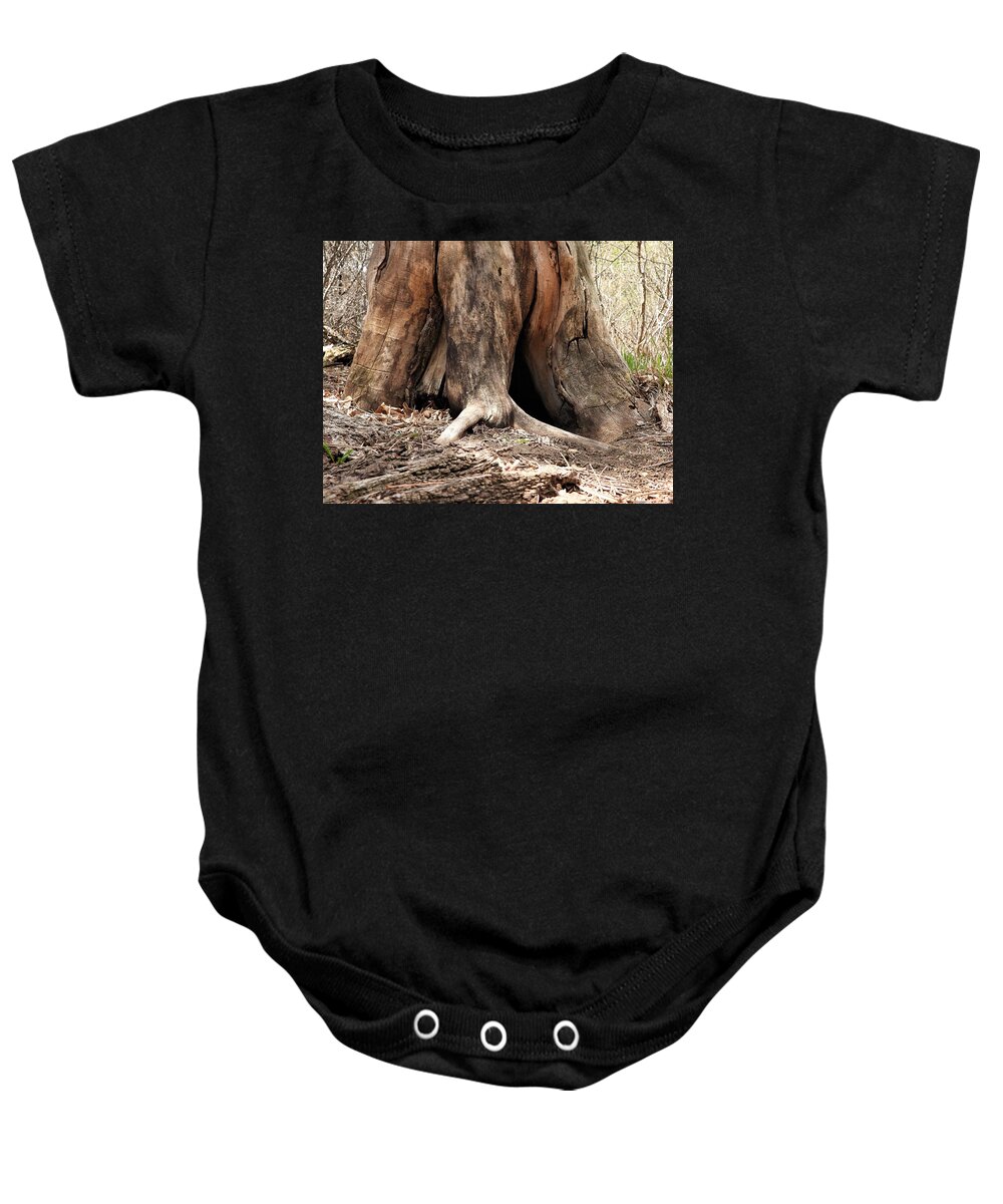 Tree Baby Onesie featuring the photograph Hollow Tree Trunk by Amanda R Wright
