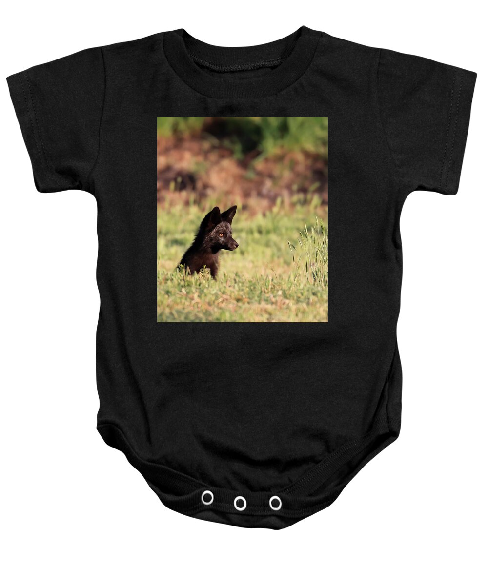 Silver Fox Baby Onesie featuring the photograph Keeping Watch by Shane Bechler