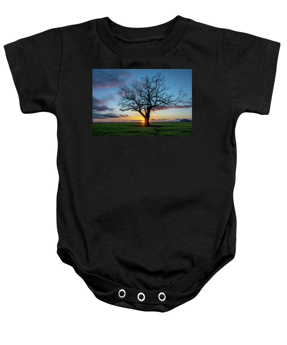 Tree Baby Onesie featuring the photograph Last Light on an Oak Tree by Catherine Avilez