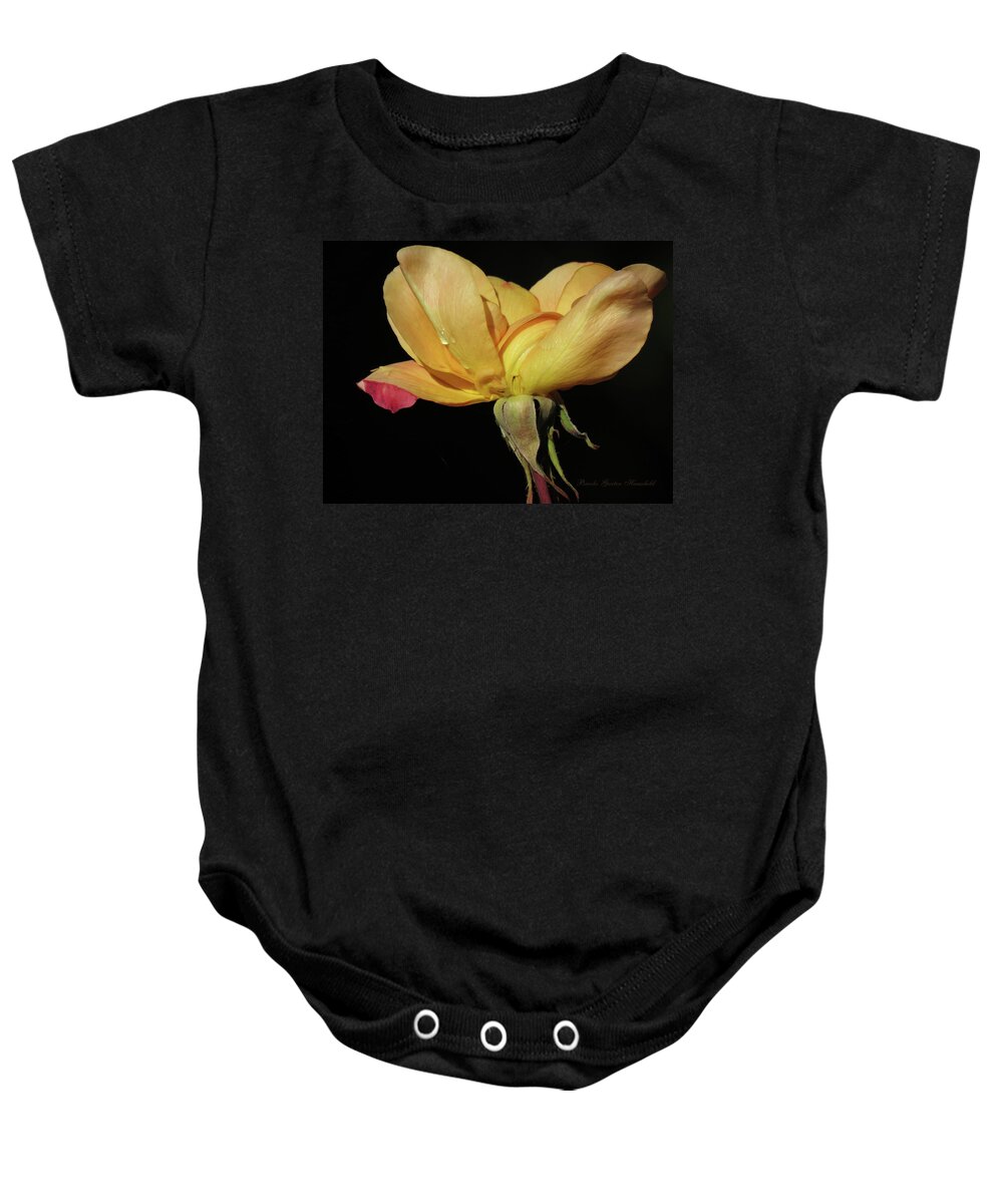 Last Yellow Rose Of Autumn Baby Onesie featuring the photograph Last Yellow Rose of Autumn - Beauty at Any Age - Floral Photography - Roses by Brooks Garten Hauschild