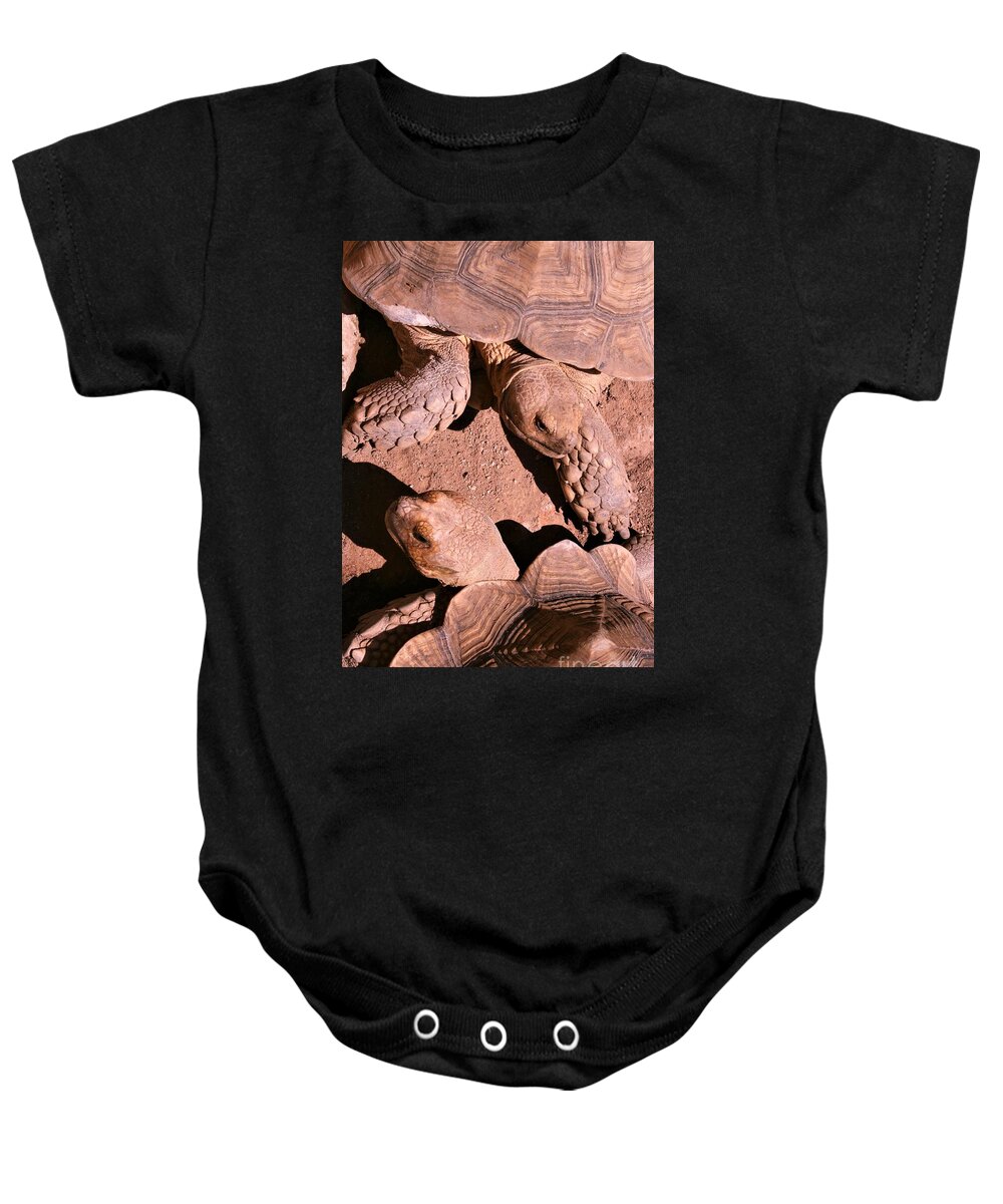 Reptiles Baby Onesie featuring the photograph Living Pods by Mary Mikawoz
