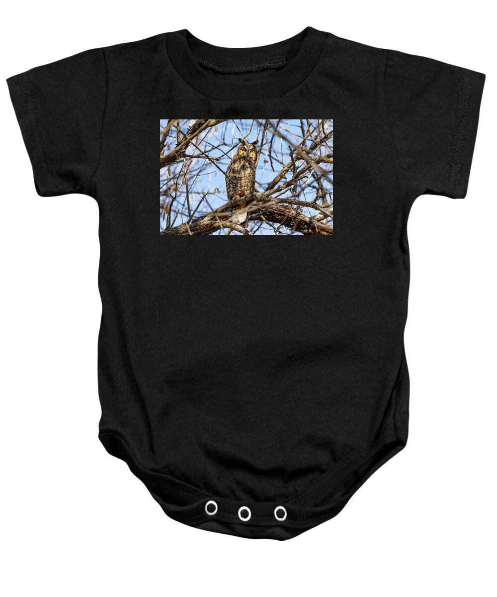 Owl Baby Onesie featuring the photograph Long Eared Owl in the Morning Sun by Tony Hake