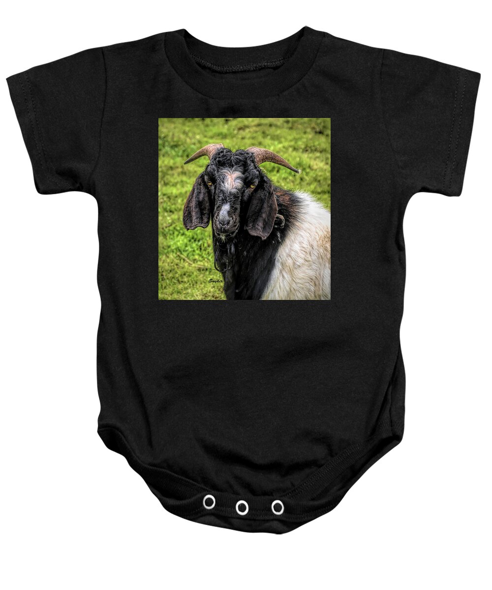 Animals.goat Baby Onesie featuring the photograph Mangy Old Goat by Barbara Snyder