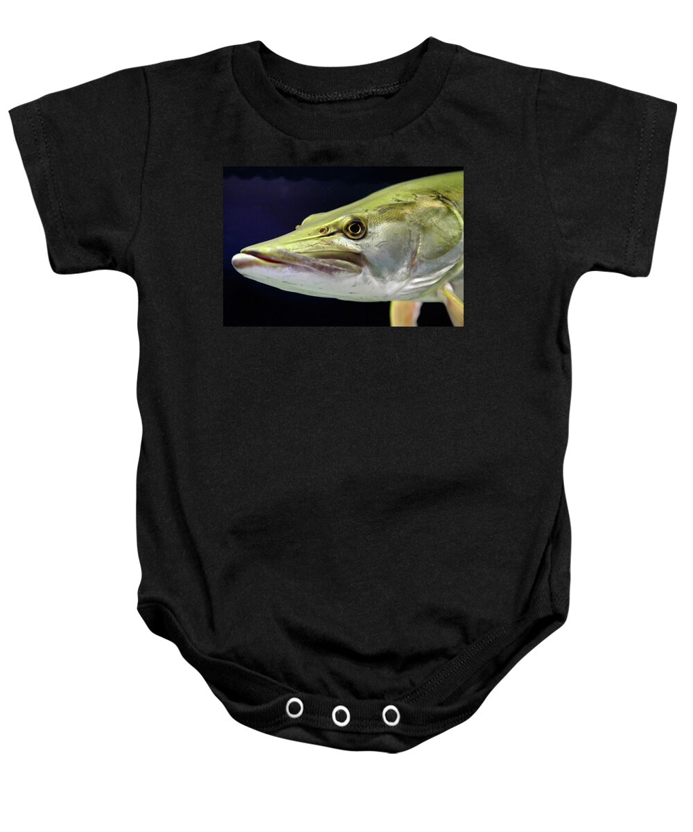 Fishing Baby Onesie featuring the photograph Mean Muskie by Lens Art Photography By Larry Trager
