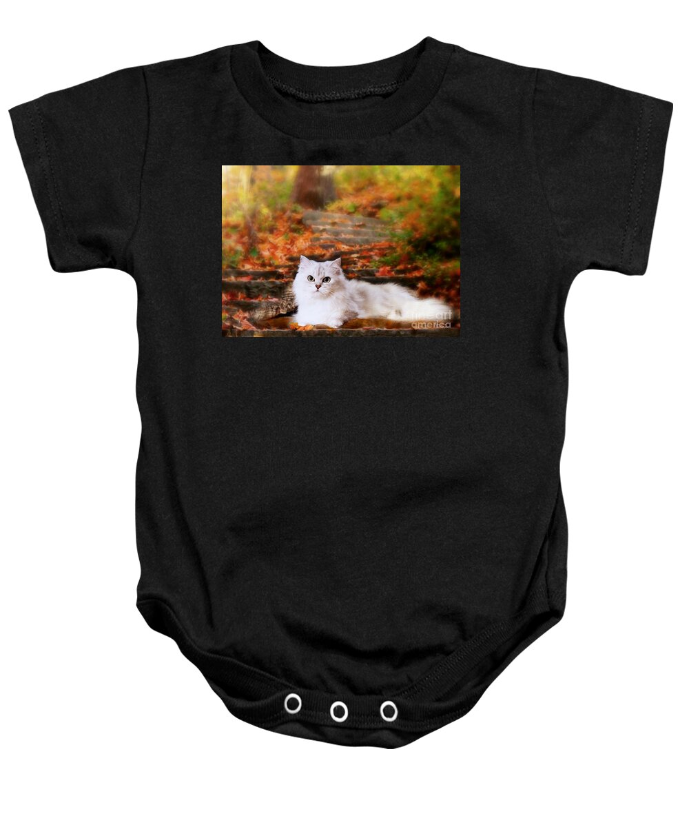 Silver Shaded Chinchilla Cat Baby Onesie featuring the mixed media Mistletoe in the Fall by Morag Bates