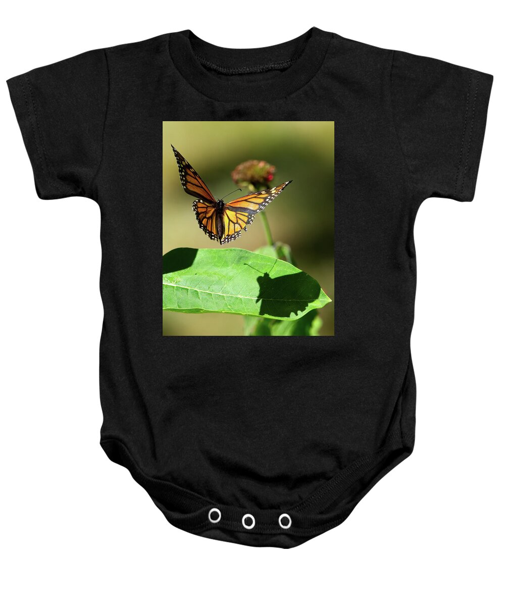 Monarch Baby Onesie featuring the photograph Monarch in Flight with Shadow by Flinn Hackett