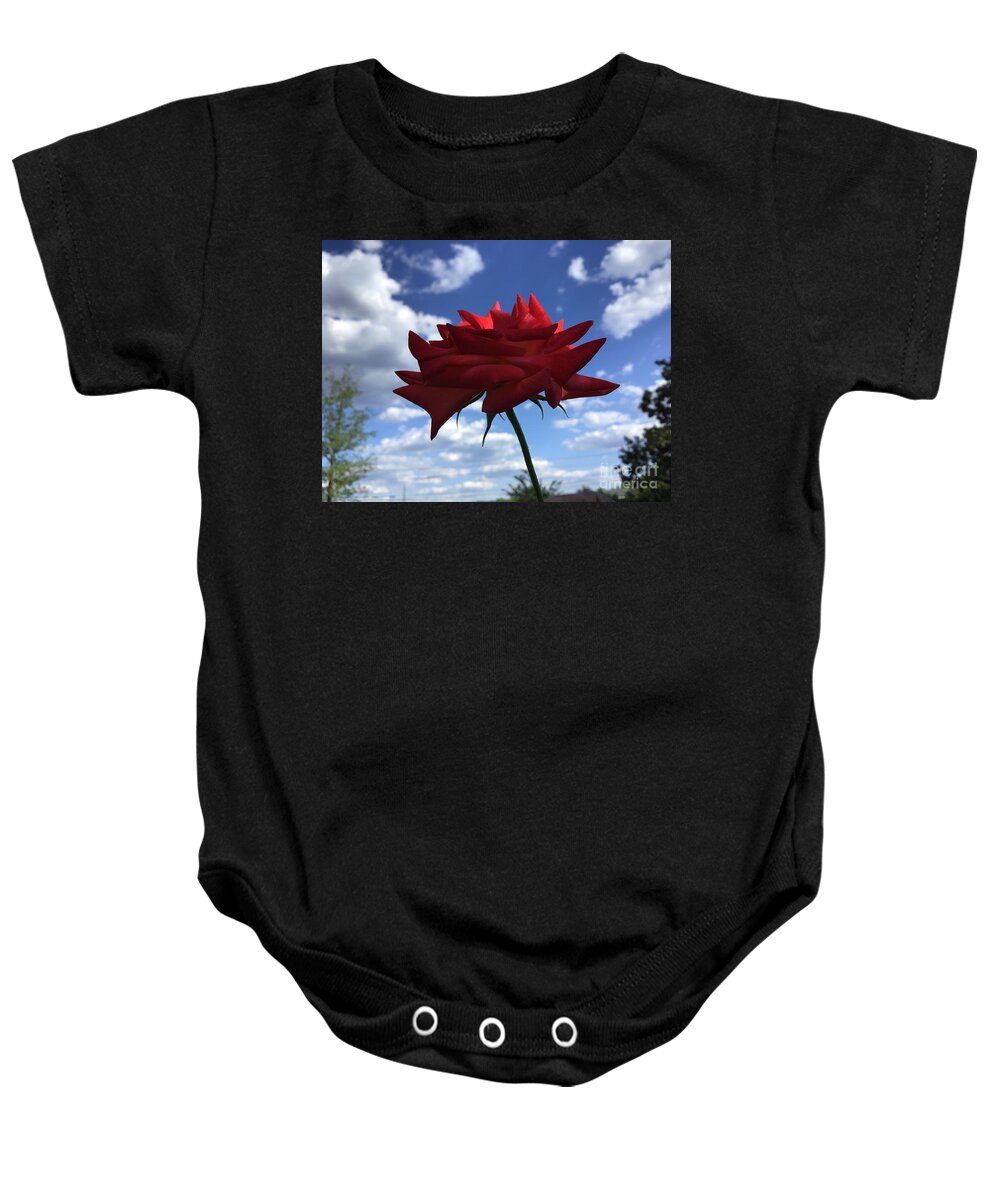 Virginia Baby Onesie featuring the photograph Morning Rose by Catherine Wilson