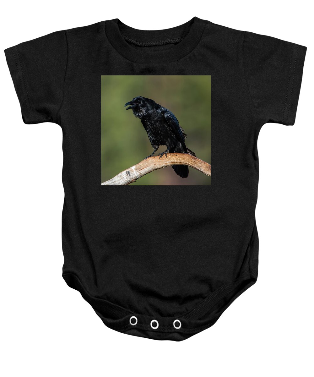 Raven Baby Onesie featuring the photograph Muninn the raven by Torbjorn Swenelius