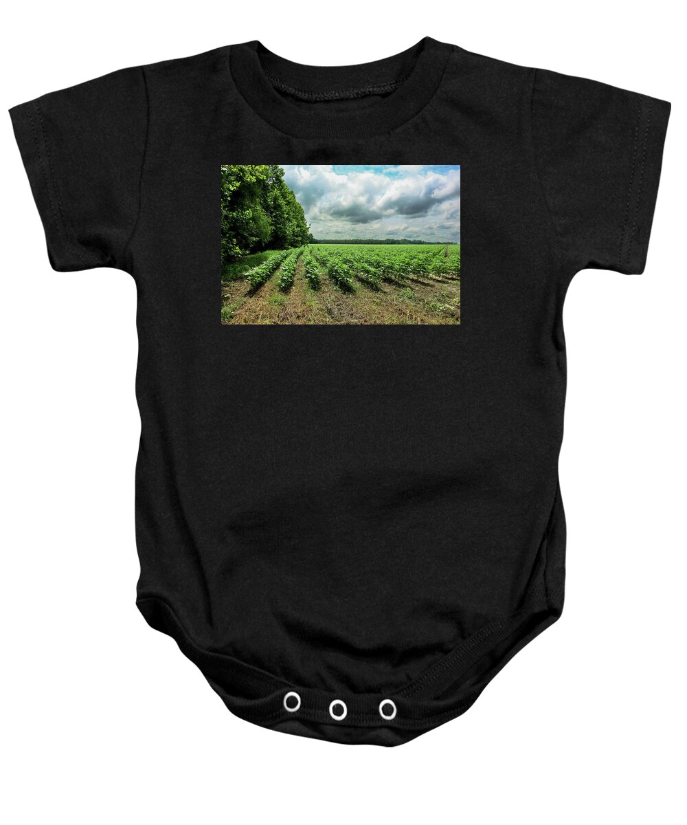 Statesboro Baby Onesie featuring the photograph New Cotton Corner Rows by Ed Williams