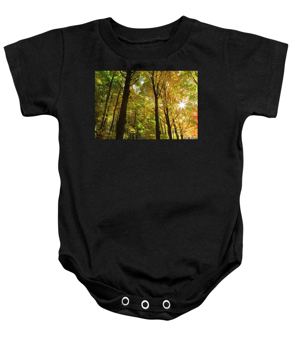 Autumn Baby Onesie featuring the photograph New England Autumn Forest by Erin Paul Donovan