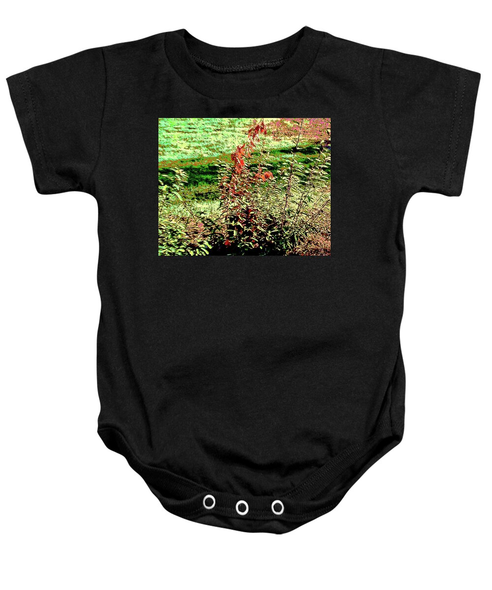 Bush Baby Onesie featuring the photograph Old Master Orange Leaves by Andrew Lawrence